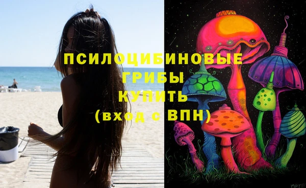 первитин Новокубанск