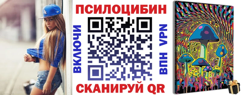 Псилоцибиновые грибы MAGIC MUSHROOMS  Купить  Калининград 