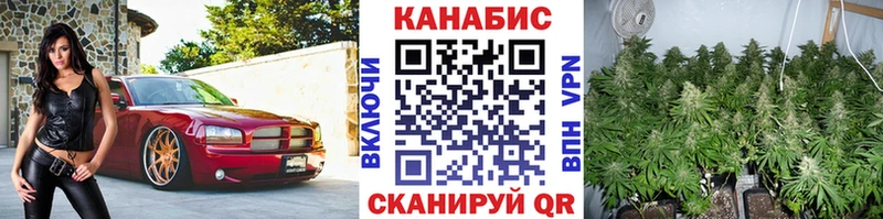 Каннабис White Widow  Купить закладки  Калининград 